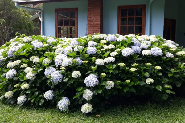 ddd262a0-521a-4958-8b64-ffcd31225636